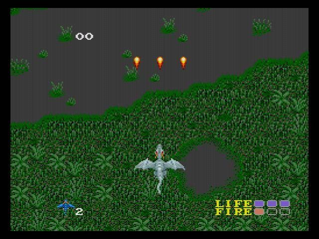 Dragon Spirit (JP)