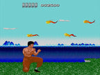 The Kung Fu (JP)