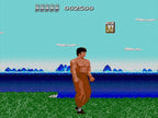 The Kung Fu (JP)