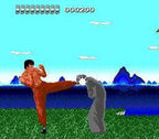 The Kung Fu (JP)