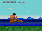 The Kung Fu (JP)