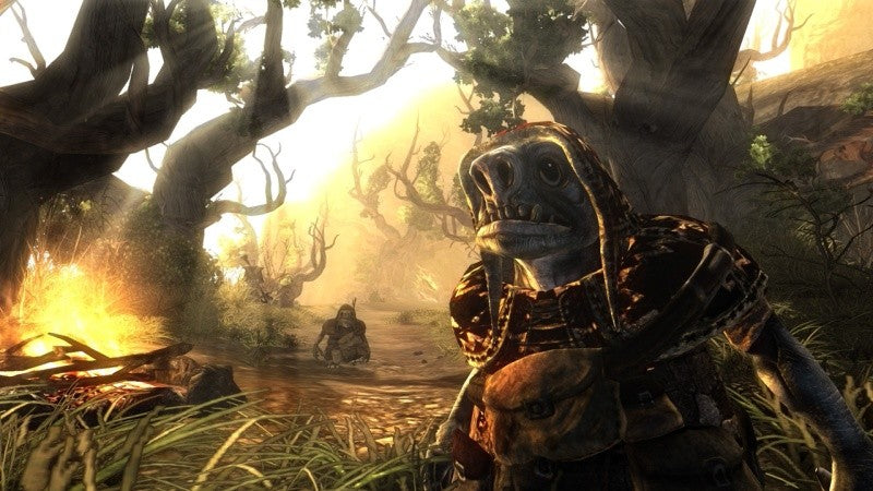 Rollenspiel Klassiker: Risen + Spellforce 2 — Gold Edition