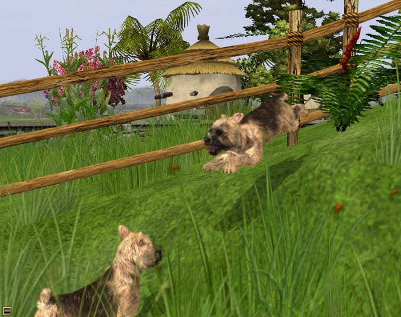 Wildlife Park 2 - Meine Haustiere
