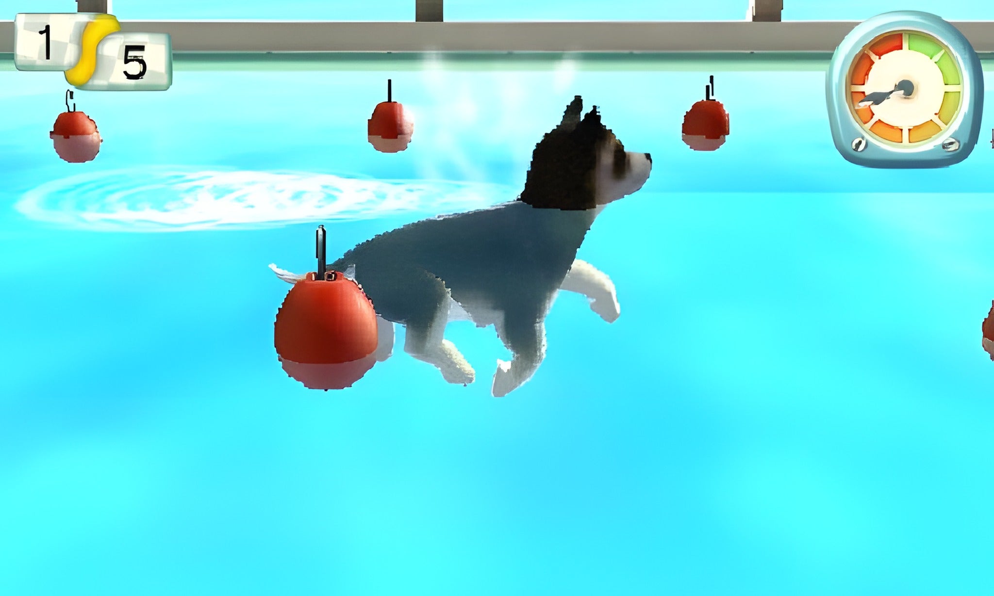 Pets Paradise Resort 3D – Screenshot 5