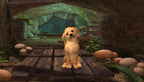Pets (DE)