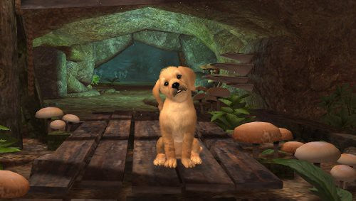 Pets (DE)