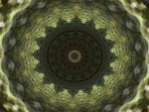 Baby Universe