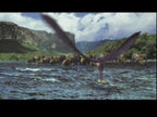 Disney's Dinosaurier (DE)