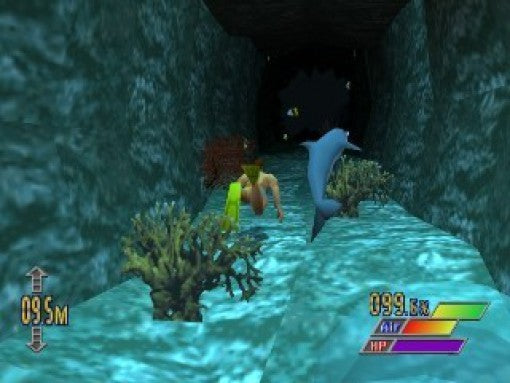 Diver's Dream