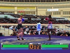 K-1 The Arena Fighters