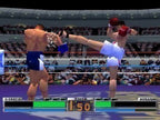 K-1 The Arena Fighters