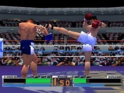 K-1 The Arena Fighters