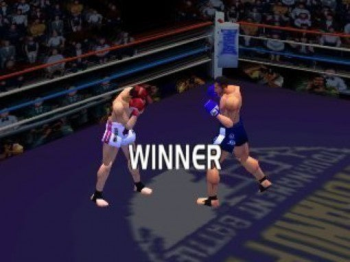 K-1 The Arena Fighters
