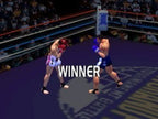 K-1 The Arena Fighters