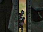 Oddworld: Abes Oddysee