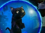 Sabrina the Teenage Witch - A Twitch in Time!