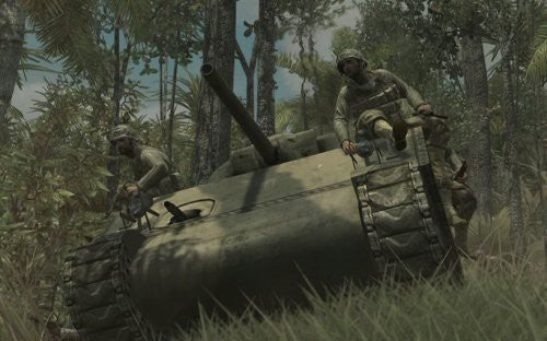 Call of Duty: World at War Final Fronts (DE)