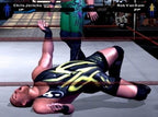 WWE SmackDown! Here comes the Pain (DE)