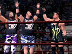WWE SmackDown! Here comes the Pain (DE)