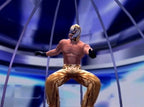 WWE SmackDown! Here comes the Pain (DE)