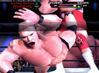 WWE SmackDown! Here comes the Pain (DE)