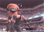WWF SmackDown! Just Bring It! (DE)