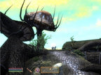 The Elder Scrolls IV: Oblivion (GB) — Game of the Year Edition