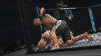UFC Undisputed 3 (DE)