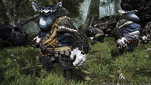 Final Fantasy XIV: Heavensward (DE)