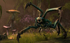 The Elder Scrolls Online: Tamriel Unlimited (DE)