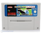 Sensible Soccer: European Champions