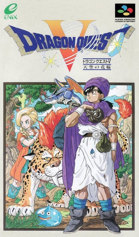 Dragon Quest V: Tenkuu no Hanayome (JP)