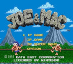 Joe & Mac: Tatakae Genshijin (JP)