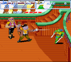 Teenage Mutant Ninja Turtles IV: Turtles in Time (US)
