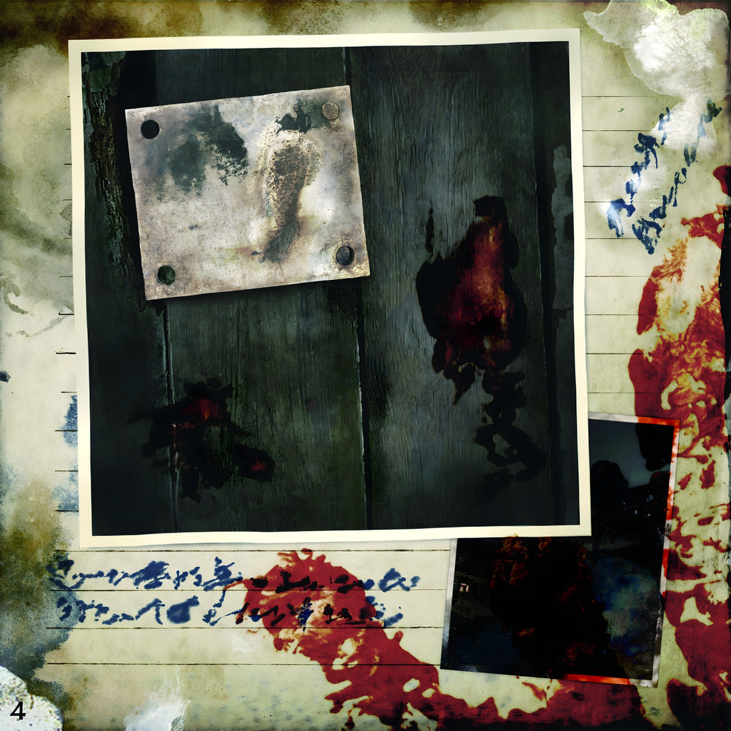 Spirit Camera: Das verfluchte Tagebuch (DE) – Screenshot 5