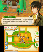 Story of Seasons (DE) – Screenshot 4
