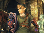 Link mit Schild und Schwert in Kampfpose vor einer steinernen Wand in Super Smash Bros. Brawl.
