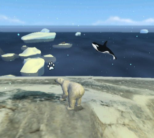 Arctic Tale