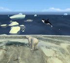 Arctic Tale