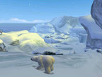 Arctic Tale