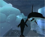 Arctic Tale