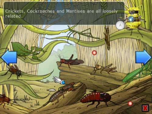 Clever Kids: Krabbeltiere