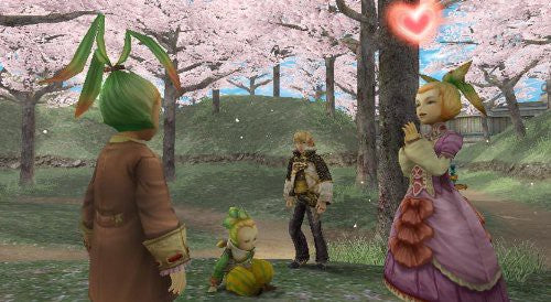 Final Fantasy Crystal Chronicles: The Crystal Bearers (DE)