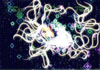 Geometry Wars: Galaxies (DE)