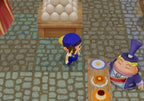 Harvest Moon: Magical Melody (DE)