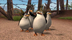 Madagascar 2: Escape to Africa (DE)