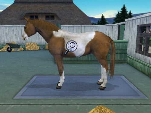 Meine Tierarztpraxis / My Vet Practice 1