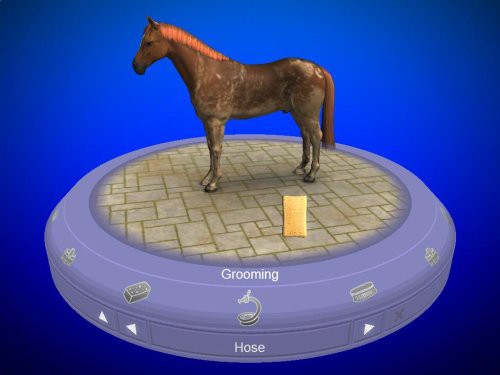My Horse and Me 1