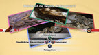 Nat Geo Quiz: Wild Life (DE)