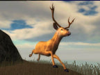 North American Hunting Extravaganza 1 (DE)